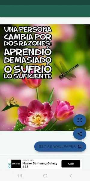Saludos y frases motivadoras Screenshot 2