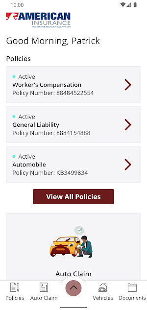 American Insurance Online Screenshot 1