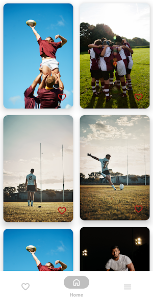 Rugby Wallpapers Screenshot 1