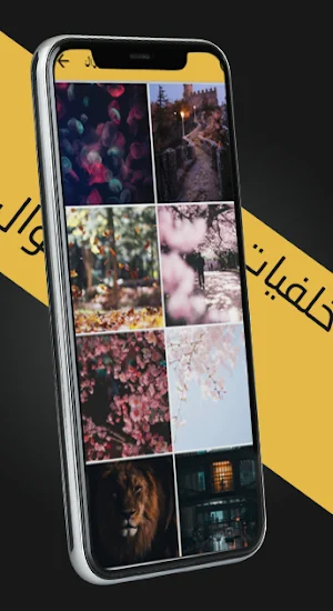 WhatShot صور وخلفيات متجددة Screenshot 3