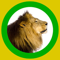 Animals 360x