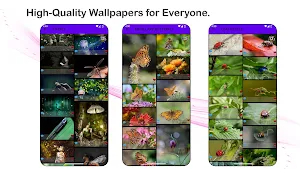 Wild Wonders: Insects Screenshot 1