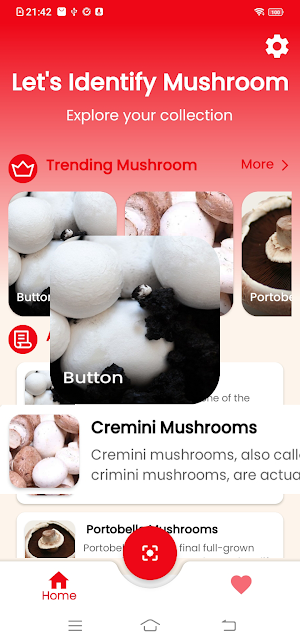 Mushroom identifier Screenshot 1