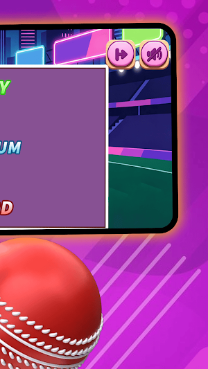 Cricket Hero Screenshot 3