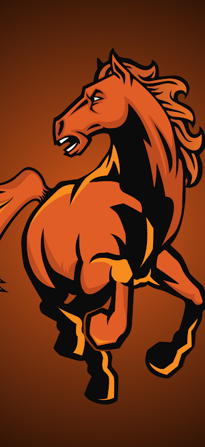 Natrona County Mustangs Screenshot 0