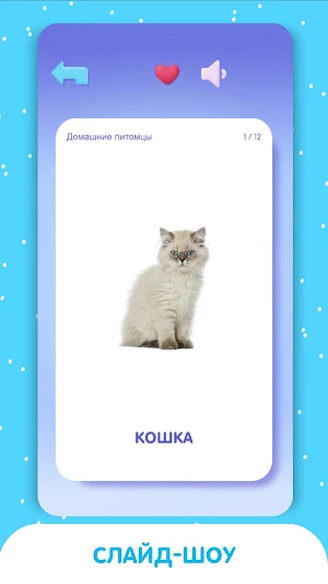 3 000 развивающих карточек Screenshot 2