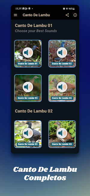 Canto De Lambu Completos Screenshot 1