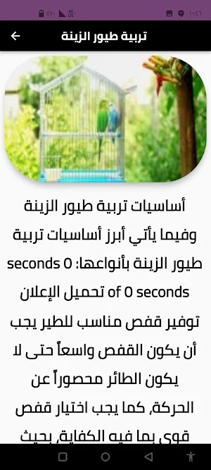 طيور Screenshot 0