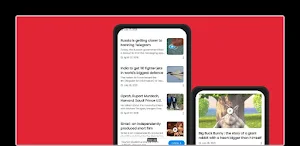 Boriif Tip Screenshot 1