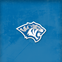 Dakota Wesleyan Tigers