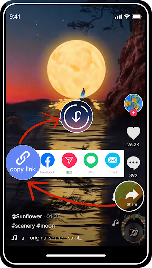Video Downloader For SaveTik Screenshot 1