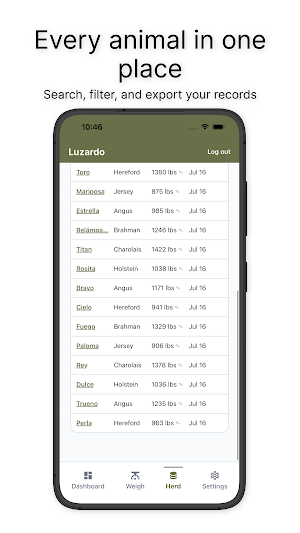 Luzardo Screenshot 1