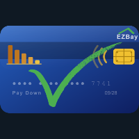 Pay Down: Credit Card Payoff