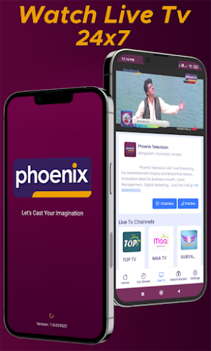 Phoenix TV Screenshot 0