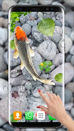Koi Fish Live Wallpapers HD Screenshot 1