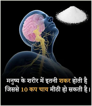 रोचक तथ्य | Rochak Tathya - Unknown Facts in Hindi Screenshot 2