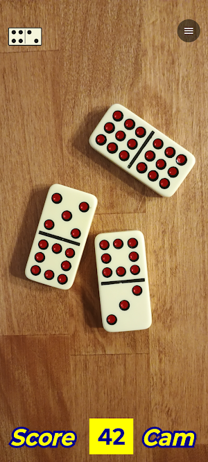 Domino Camera Screenshot 0