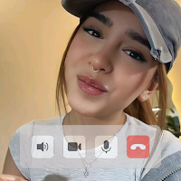 Domelipa Call Simulator