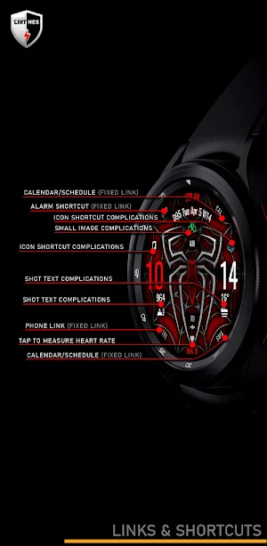 Spider Watch Face 063 Screenshot 3