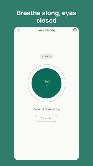 Guided Breathing Exercises Screenshot 0