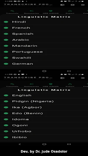 TranscribePro Screenshot 2