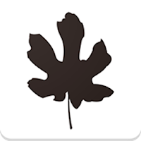 BOBTextile Counsel Mobile App