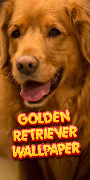 golden retriever wallpaper Screenshot 0