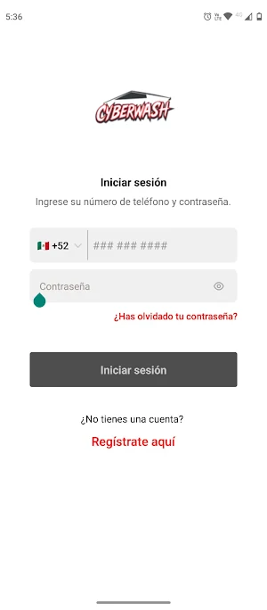 CyberWash Screenshot 0