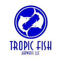 Tropic Fish, HI