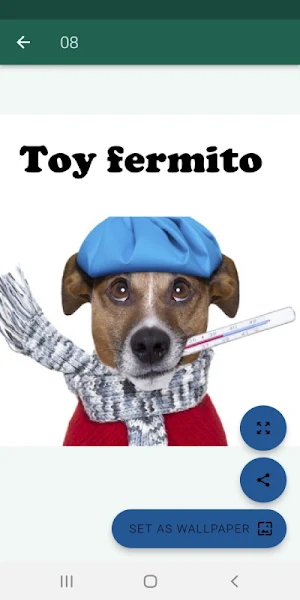 Imágenes graciosas con frases Screenshot 3