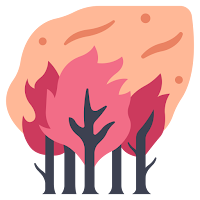 AppRXfire