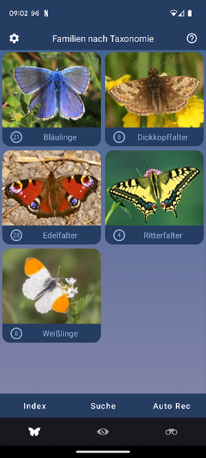 Schmetterling Id - Tagfalter Screenshot 0