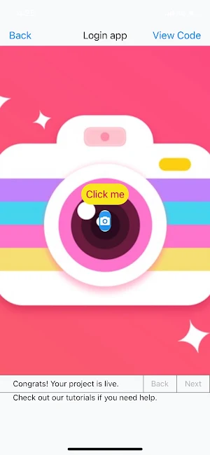 Login App Screenshot 2