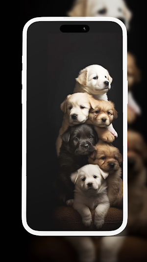 Dog wallpapers Screenshot 1