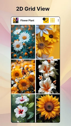 Flowers Wallpaper 4K-HD Photos Screenshot 2