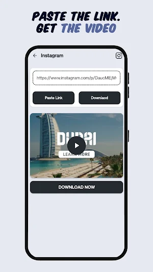 Seal Downloader Screenshot 1