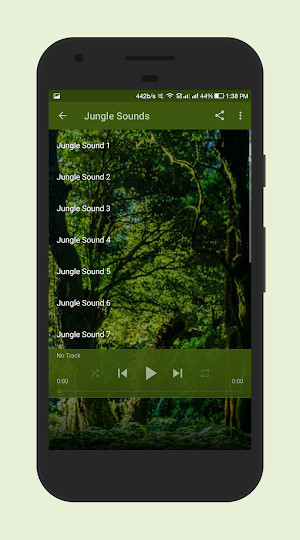 Jungle Sounds Screenshot 1