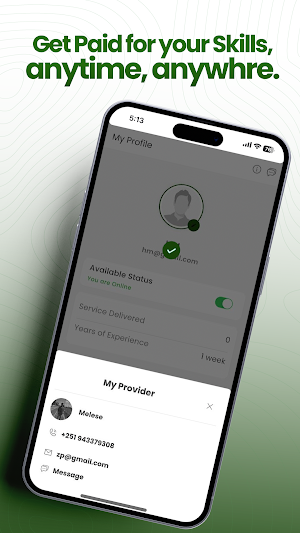 Zemen Handyman Screenshot 2