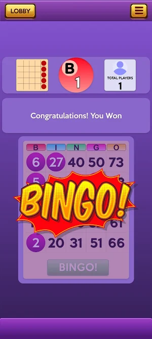 BINGO! With Friends & Family Screenshot 2