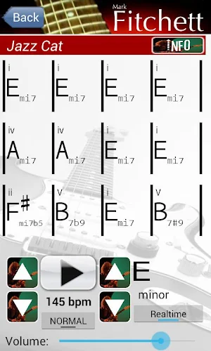 Pro Band Blues #3 Screenshot 2