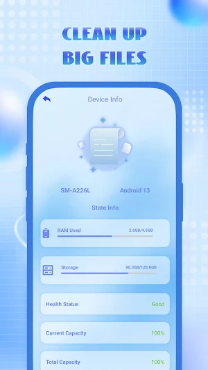 Clean Sweep Junk Files Screenshot 2