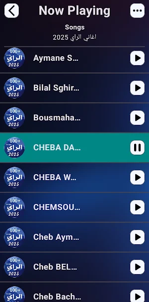 100 Rai Songs | offline Screenshot 1