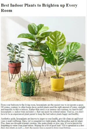Indoor Plants Tutorial Screenshot 1