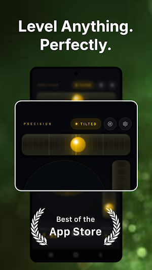 Precision Level Screenshot 0