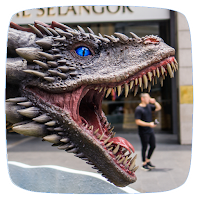 Dragon Sounds