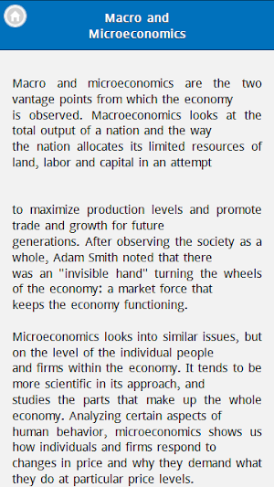Basic Economics Screenshot 1