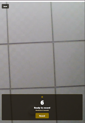 CricSpeedo: Bowling Speed Screenshot 2