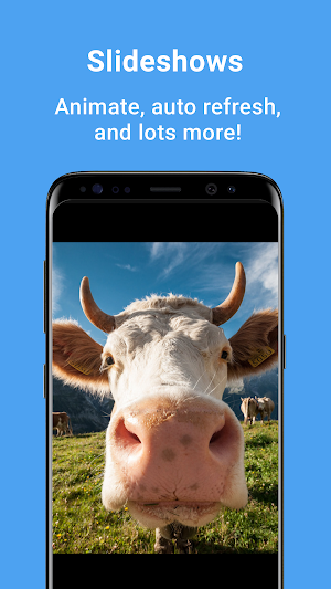dFolio - Dropbox Photo Gallery and Uploader Screenshot 3