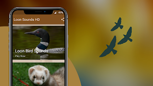 Loon Sounds Screenshot 1