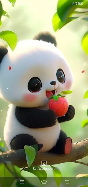 Panda Golden HD Screenshot 2